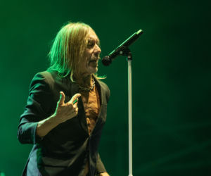 Iggy Pop w zaskakującym duecie. Nagrał piosenkę z muzykami, dla których był biblią