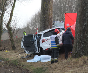 JECHALI DO KURORTU, TRAFILI NA DRZEWO
