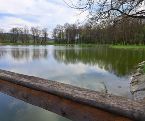 Centrum Paderewskiego w Kąśnej Dolnej