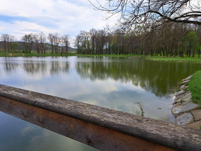 Centrum Paderewskiego w Kąśnej Dolnej