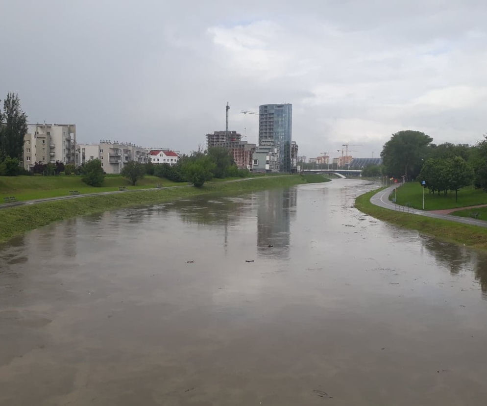 Rzeszów - stan rzeki Wisłok, 22.05.2019