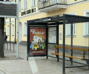 Darmowe palmy na ulicach Suwałk! Niezwykła akcja Radia ESKA