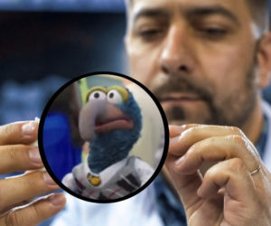 Jakim zwierzęciem jest Gonzo z Muppetów? Naukowcy odpowiedzieli na odwieczne pytanie