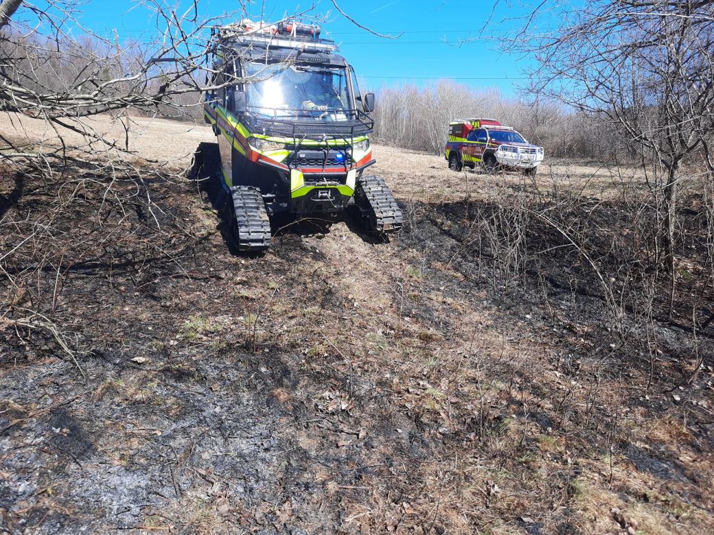 77-latka chciała uporządkować działkę, a zginęła w potwornych męczarniach. Tragedia pod Limanową