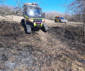 77-latka chciała uporządkować działkę, a zginęła w potwornych męczarniach. Tragedia pod Limanową