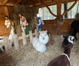 Żywa szopka w Lipowicy – magiczne święta tuż obok Kielc