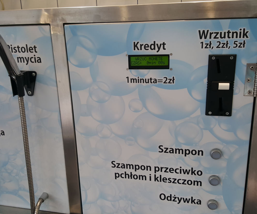Samoobsługowa Myjnia dla Psów w Sosnowcu