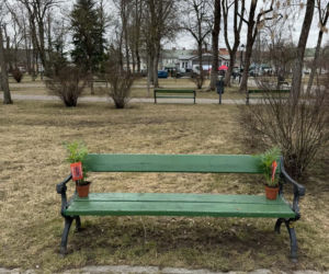 Darmowe palmy na ulicach Suwałk! Niezwykła akcja Radia ESKA