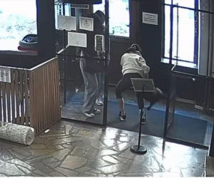 Próbowała wynieść kota z lokalu w Toruniu