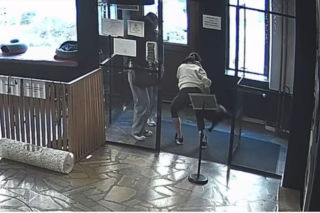 Próbowała wynieść kota z lokalu w Toruniu