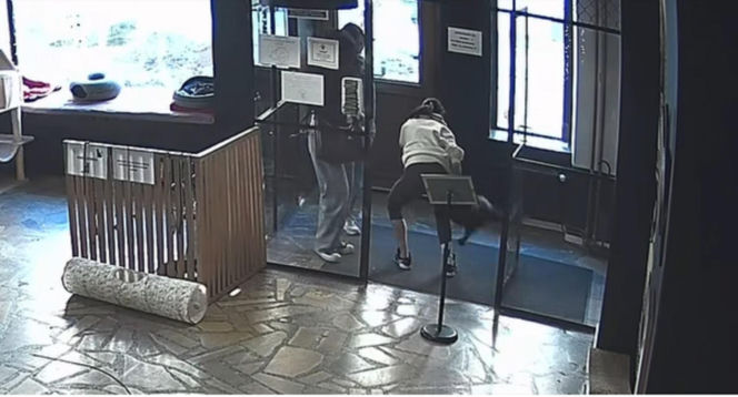 Próbowała wynieść kota z lokalu w Toruniu