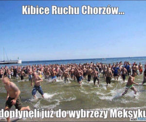 Kibice