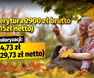 Polski Ład/waloryzacja 4,89