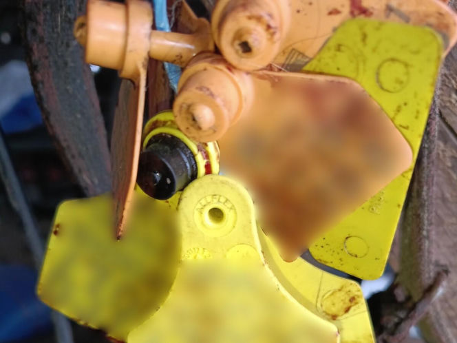 Policja rozbiła grupę złodziei bydła. Pięciu mężczyzn z zarzutami