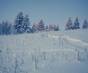 Sezon narciarski wystartował w Zieleńcu na dobre