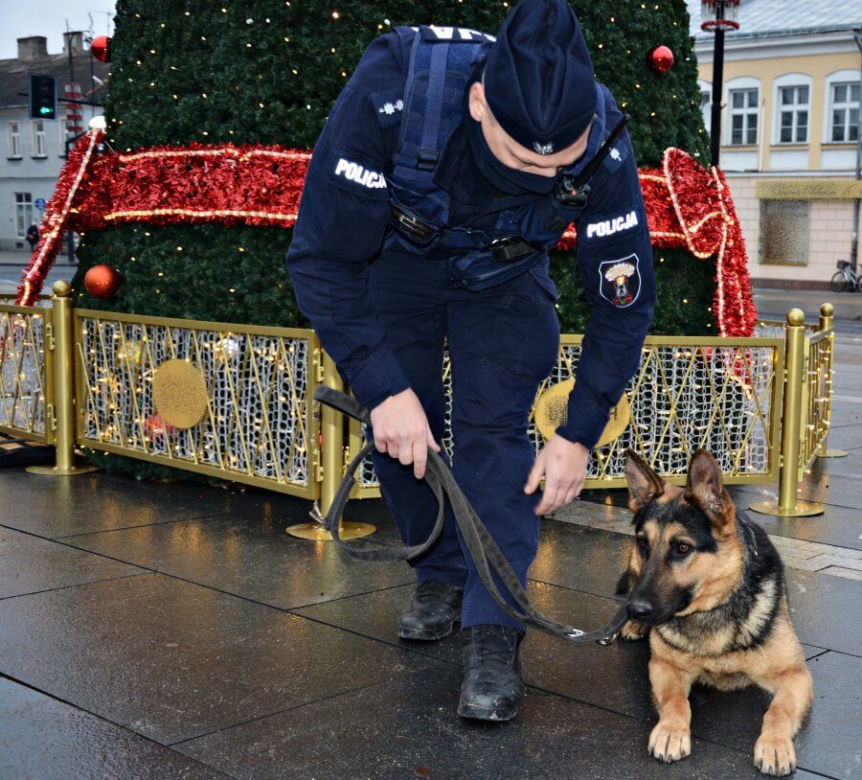Szarik - nowy policyjny pies w Komendzie Miejskiej Policji w Suwałkach [ZDJĘCIA]