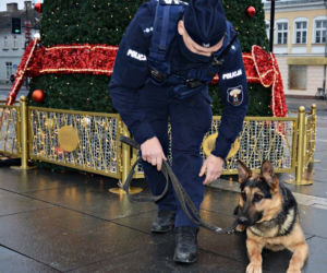 Szarik - nowy policyjny pies w Komendzie Miejskiej Policji w Suwałkach [ZDJĘCIA]