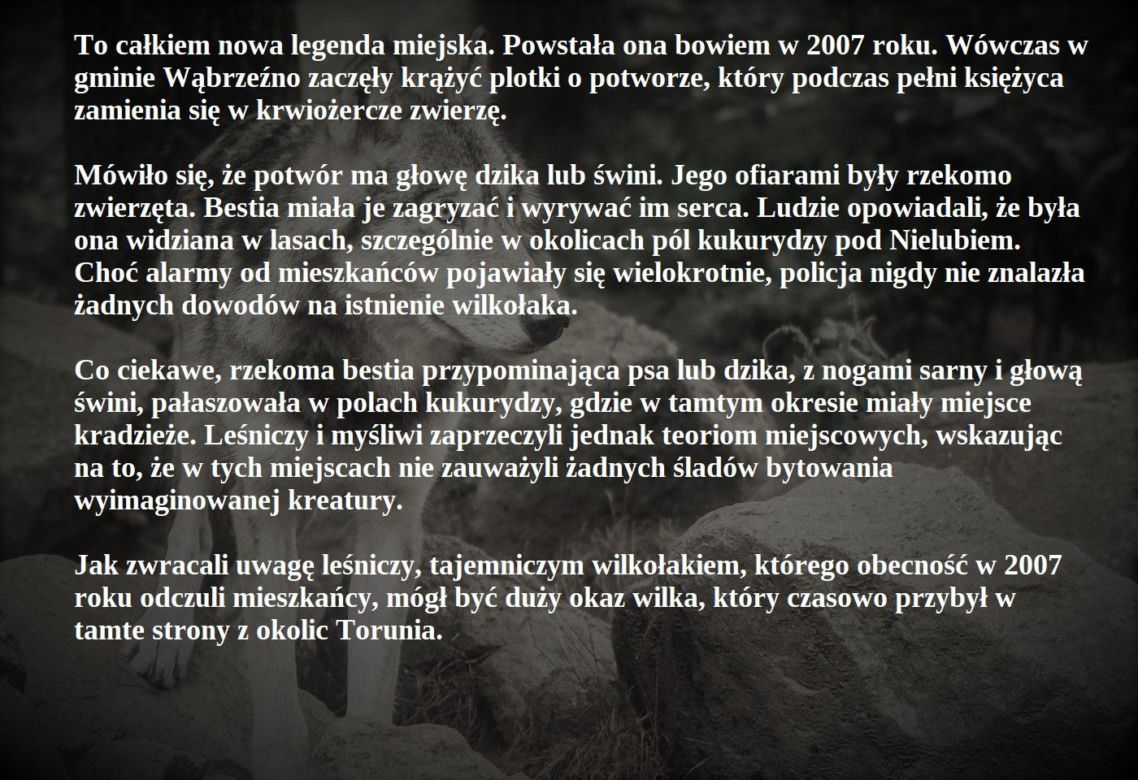 Wilkołak z Wąbrzeźna