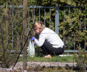Małgorzata Tusk pielęgnuje teren wokół domu