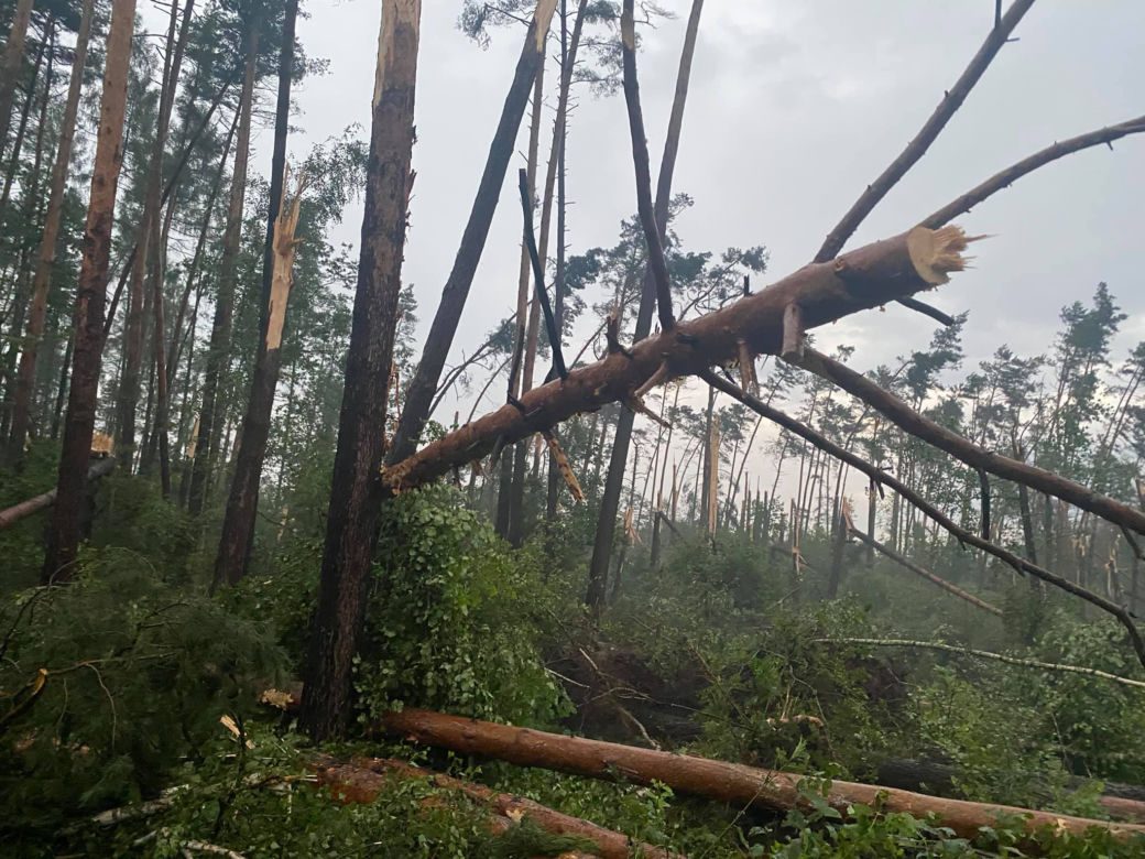 Potężna nawałnica w powiecie oleśnickim