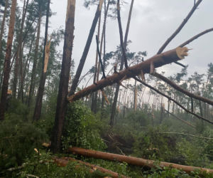 Potężna nawałnica w powiecie oleśnickim