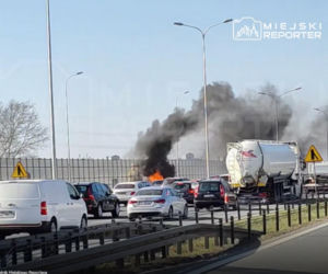 Seria groźnych pożarów pod Warszawą