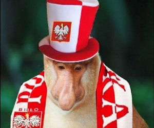 MEMY po meczu Polska Malta