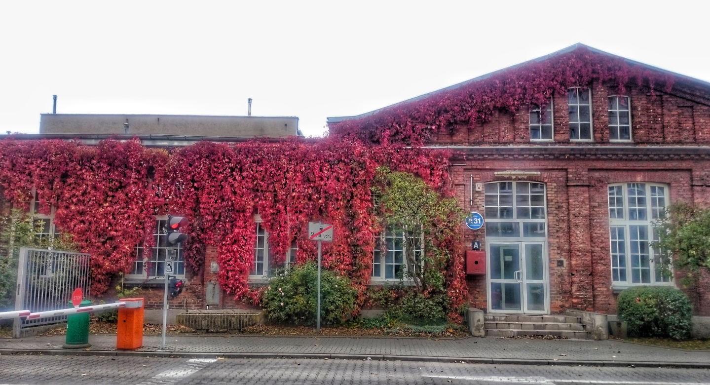 6 Politechnika Łódzka, ul. Żeromskiego 116