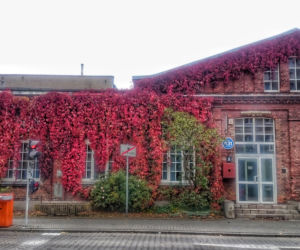 6 Politechnika Łódzka, ul. Żeromskiego 116