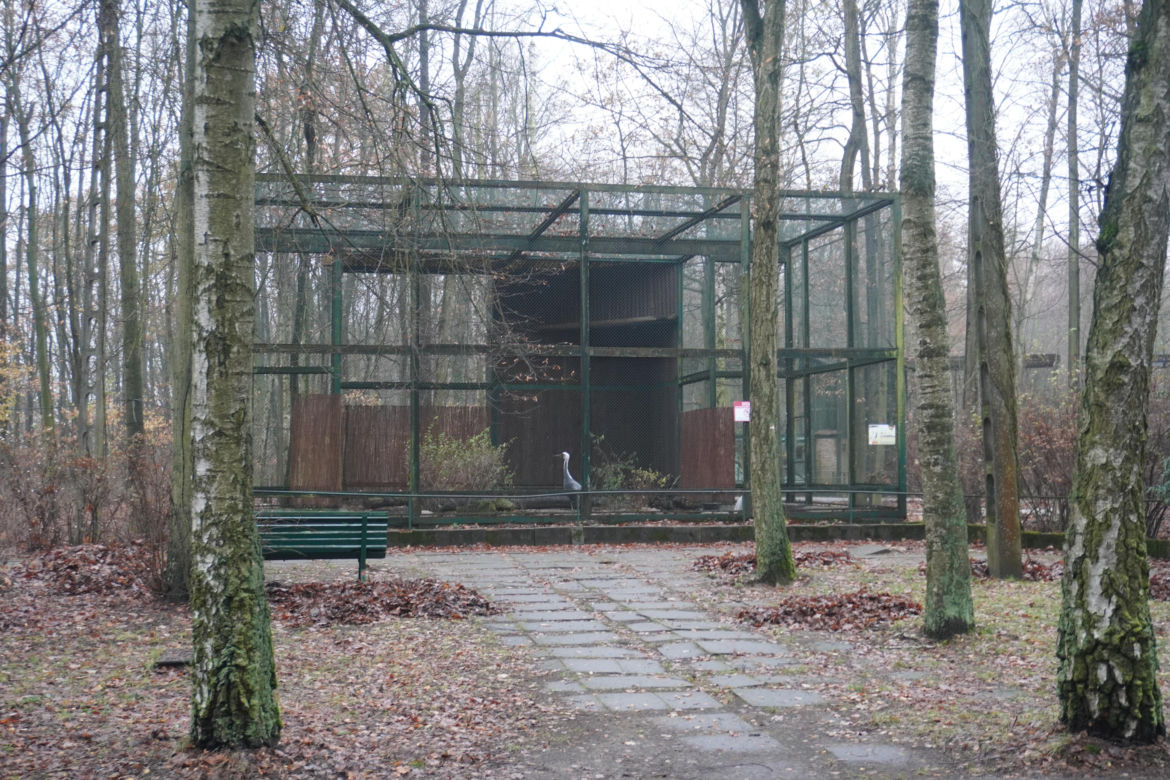 Zoo w Poznaniu zimą