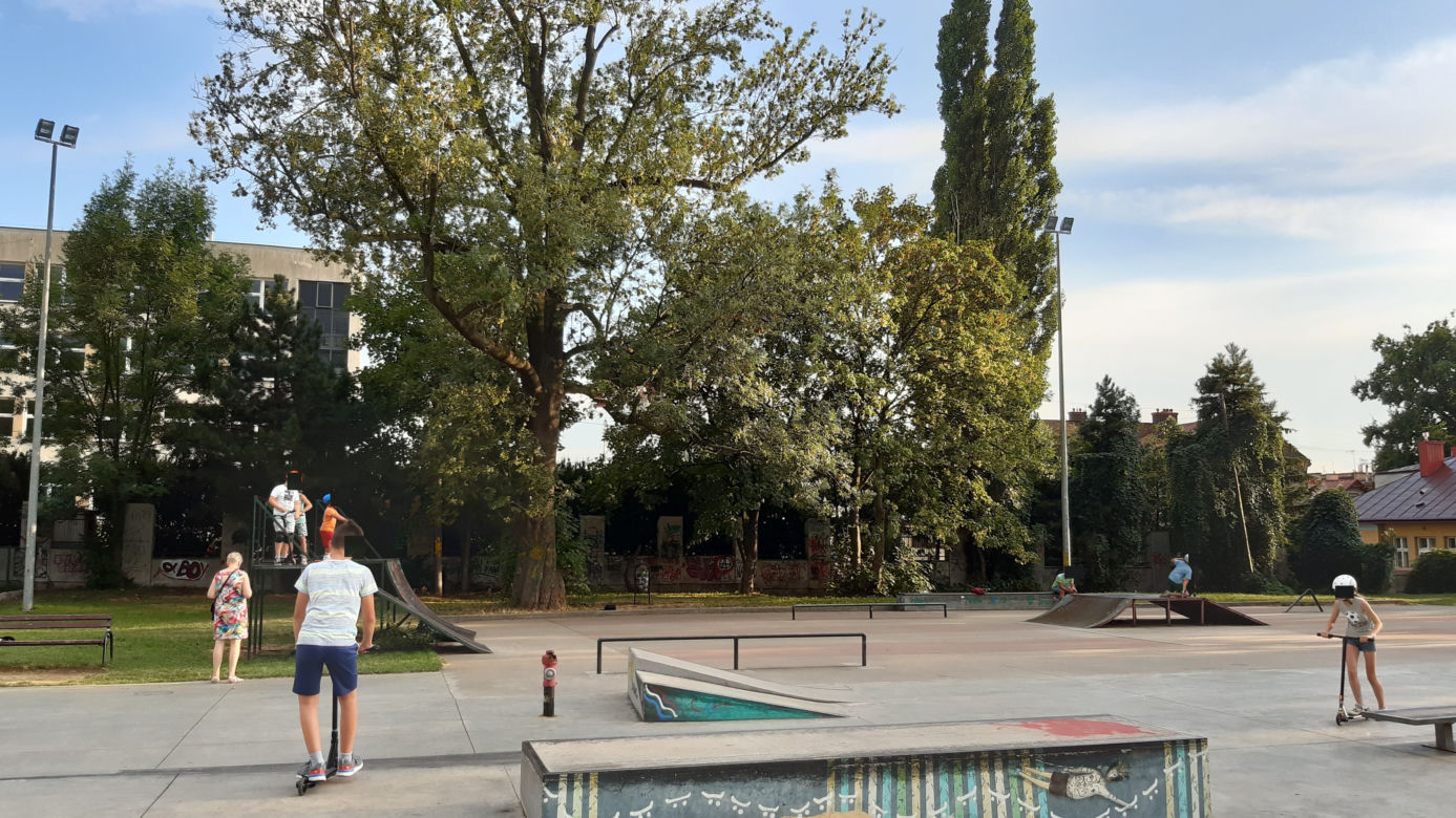 Zużyte trampki na pomniku przyrody