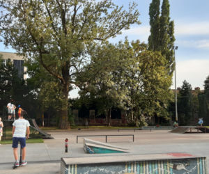 Zużyte trampki na pomniku przyrody