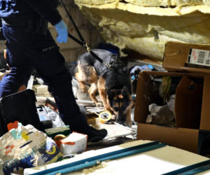 Policja weszła do kilkunastu mieszkań. Wielka akcja służb w Podlaskiem