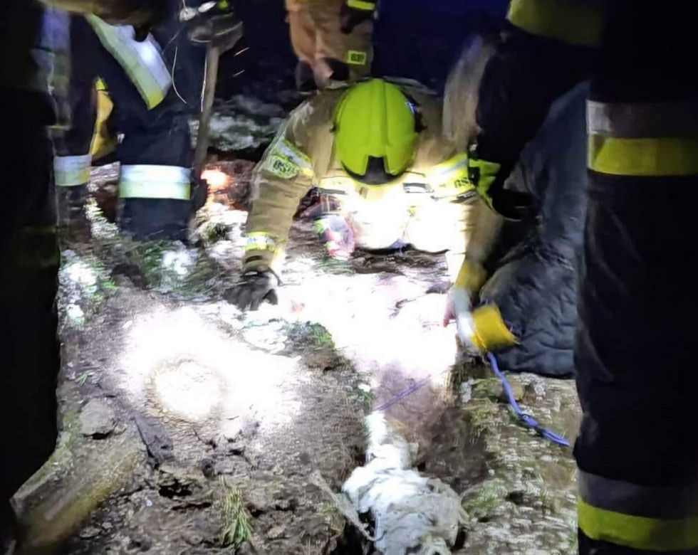Maleństwo zaklinowało się w bobrzej norze. Wcześniej ktoś wyrzucił szczeniaki w szczerym polu