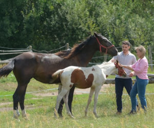 Pierwsza miłość, odcinek 3298: Marysia (Aneta Zając), Kacper (Damian Kulec)
