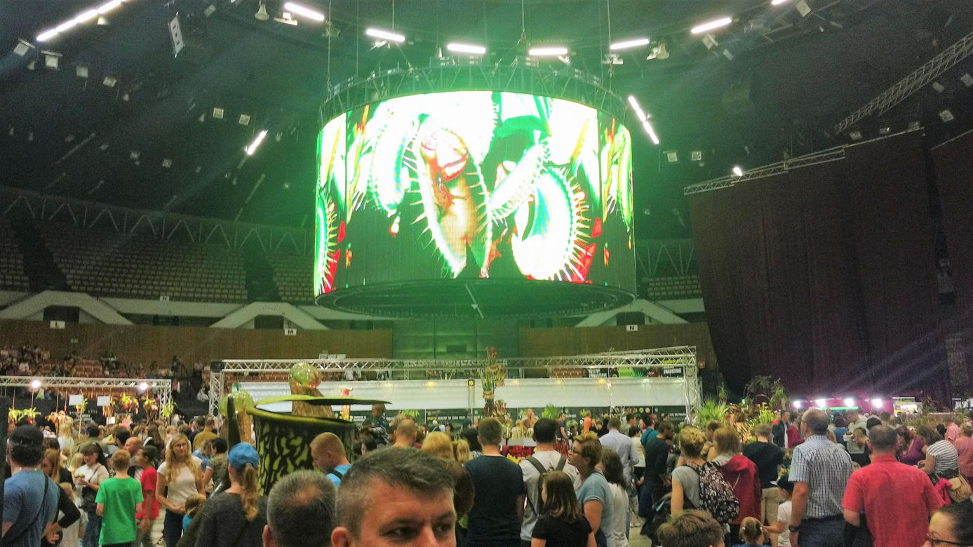 Krwiożercze rośliny opanowały katowicki Spodek! Trwa Festiwal Roślin Owadożernych [ZDJĘCIA, AUDIO]