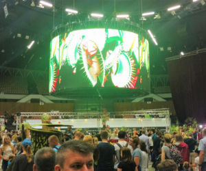Krwiożercze rośliny opanowały katowicki Spodek! Trwa Festiwal Roślin Owadożernych [ZDJĘCIA, AUDIO]
