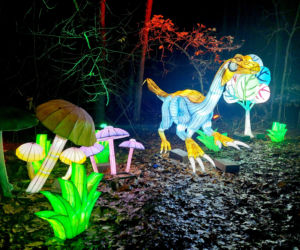 Lumina Park Bydgoszcz