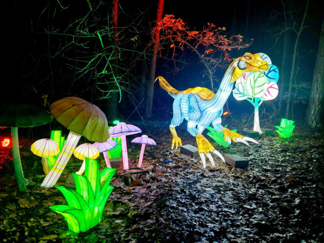 Lumina Park Bydgoszcz