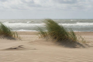 Zmiana pogody w Międzyzdrojach. Słońce będzie, ale najpierw uderzy silny wiatr. Kiedy na plażę?