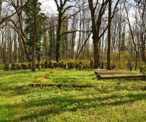 Cmentarz poewangelicki w Osiecznej