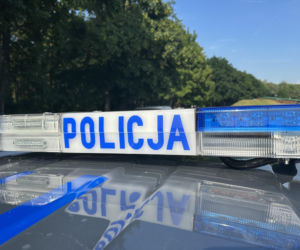 Szczury. Nie żyje kierowca BMW. Wypadek na DK 11