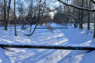 Ogródki działkowe do likwidacji w związku z budową tramwaju na Gocław