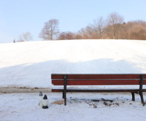 12-letni Dawid zjeżdżał z górki, nie żyje. Uderzył głową o ławkę