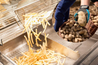 Międzynarodowy Dzień Frytek: sprawdź, czego nie wiesz o frytkach McDonald’s