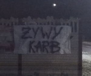Nowy gatunek ryby na Wigilię 2021?! Żywy karb w Gostyninie [ZDJĘCIA]