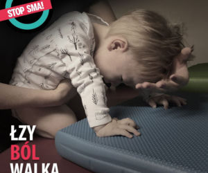Kacpi Boruta pomocy szuka