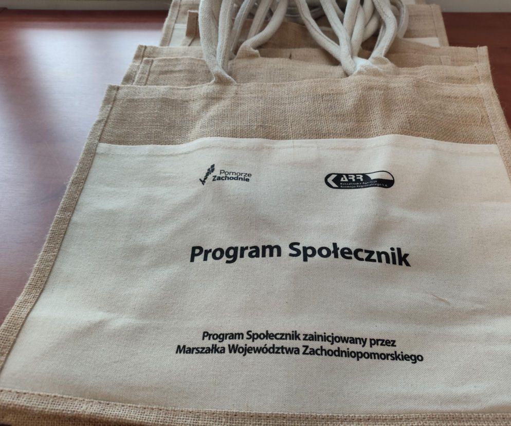 Pieniądze ze Społecznika rozdane