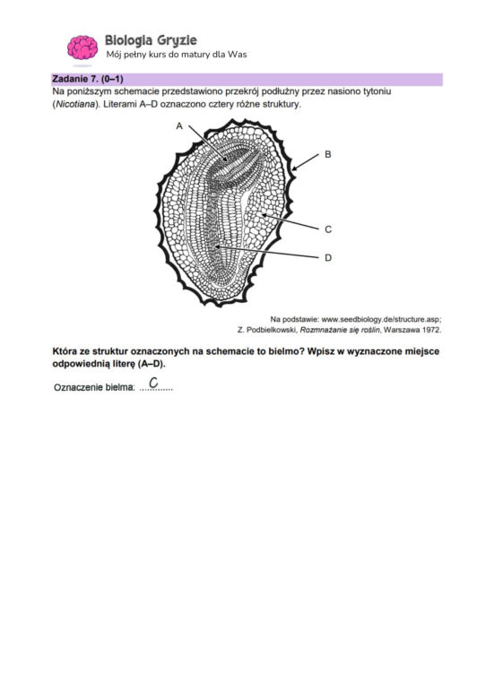 Matura 2024: biologia. Arkusze CKE i odpowiedzi. Poziom rozszerzony [Formuła 2023]
