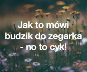 Teksty z Warsaw Shore